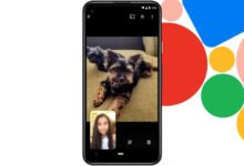 Photo of Google Duo para Android recupera el uso compartido de la pantalla dos años después de eliminarlo