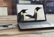 Photo of Cada vez hay más fabricantes grandes que venden portátiles con Linux preinstalado: estas son las principales propuestas