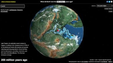 Photo of Ancient Earth: una especie de Google Earth de la época de los dinosauros que te dice cuáles paseaban por tu barrio