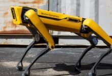 Photo of Video: Boston Dynamics y su perro robot causan terror en Canadá por un paseo nocturno