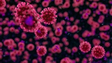 Photo of Coronavirus: Francia descubre nueva cepa del SARS-CoV-2 más contagiosa
