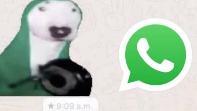 Photo of WhatsApp: ¿cómo puedes conseguir el sticker animado del perrito tocando el sartén?