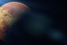 Photo of Venus: ¿Sabías que hay otros tres planetas con indicios de vida dentro de nuestro sistema solar?