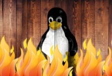 Photo of Los mejores cortafuegos para proteger tu equipo Linux