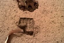 Photo of El «topo» de la sonda InSight consigue al fin empezar a profundizar bajo el suelo de Marte
