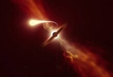 Photo of Astronomía: científicos lograron capturar el momento en el que un agujero negro devora una estrella