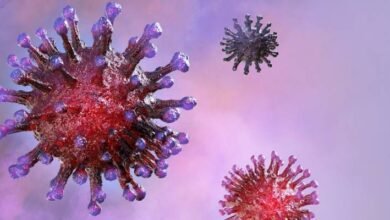 Photo of Coronavirus: 17% de pacientes curados aún portan el SARS-CoV-2, revela estudio