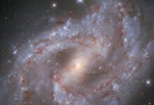Photo of El Hubble captó la explosión de una estrella: brilló 5 billones de veces más que el Sol
