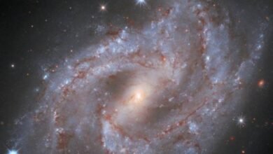 Photo of El Hubble captó la explosión de una estrella: brilló 5 billones de veces más que el Sol
