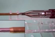 Photo of Científicos holandeses emularon un proceso reproductivo de las avispas para crear una herramienta quirúrgica