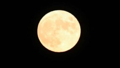 Photo of Luna: ¿por qué brilla más durante octubre? Te explicamos este extraño fenómeno