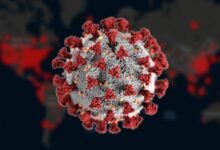 Photo of Científicos advierten que podrían existir otros 850.000 virus no descubiertos en animales, capaces de infectar humanos