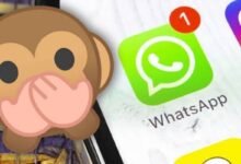 Photo of WhatsApp te dejará comprar artículos directamente desde las conversaciones