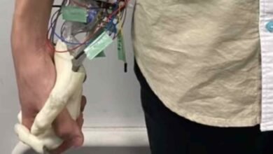 Photo of Crean mano robótica que simula estar agarrado de la mano de una mujer