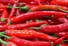 Photo of Nuevo estudio relacionó el consumo de chile o ajíes con el riesgo de muerte