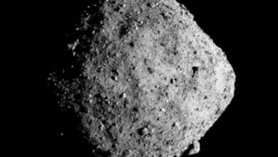 Photo of Un nuevo estudio determinó que el asteroide Bennu podría ser hueco