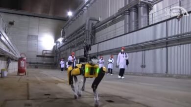 Photo of El robot perro de Boston Dynamics ayudará con la tragedia de Chernobyl