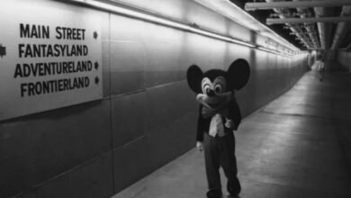 Photo of ¿Por qué razón Disney World tiene estos misteriosos túneles?