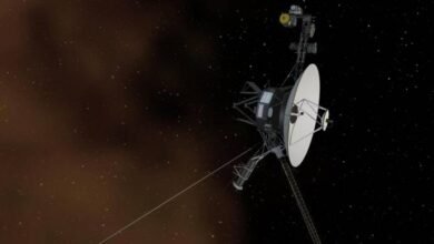 Photo of Los rayos cósmicos del Sol llegan a territorio interestelar, revelaron datos recogidos por Voyager 1 y 2