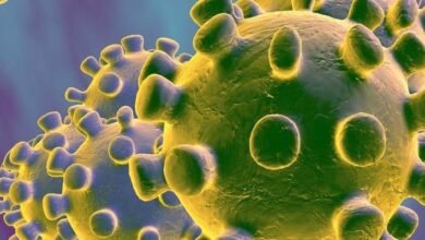 Photo of Coronavirus: por qué decimos que los virus no están vivos