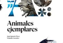 Photo of Animales ejemplares, un libro lleno de sorprendentes e interesantes historias (de) animales