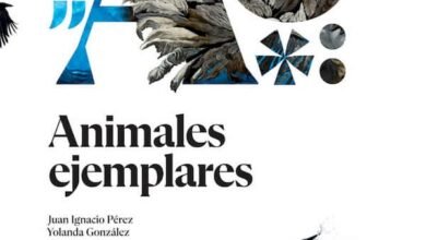 Photo of Animales ejemplares, un libro lleno de sorprendentes e interesantes historias (de) animales