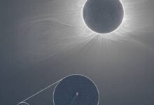 Photo of Imágenes detalladas del eclipse solar muestran un cometa que iba viajando hacia el astro rey a 700 mil km/h