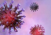 Photo of Coronavirus: todo lo que sabemos sobre la nueva cepa británica VUI-202012/01