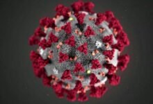 Photo of Coronavirus: ¿cómo se hizo la vacuna de Pfizer y cómo funciona?