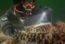 Photo of Segunda Guerra Mundial: Buzos descubren una máquina Enigma en el fondo del mar