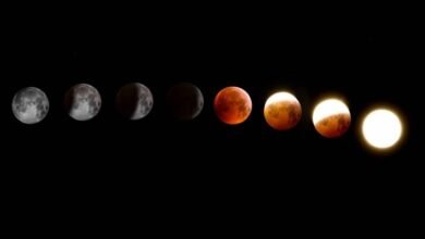 Photo of Eclipse Solar del 14 de diciembre: los mejores tips para sacarle fotos con el celular