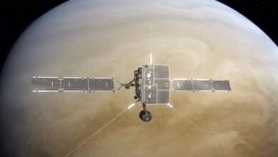 Photo of En su camino hacia el 'astro rey', el Solar Orbiter sobrevoló Venus y está recopilando datos del planeta