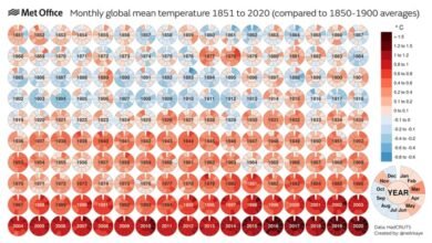 Photo of 2020 empata con 2016 como año más cálido desde que tenemos datos