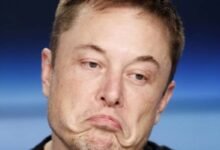 Photo of Planteamiento de Elon Musk de construir túneles en Miami fue tildado de ilógico porqué la ciudad "siempre está inundada"