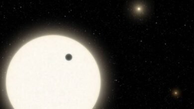 Photo of Un exoplaneta orbitando tres estrellas masivas se convierte en uno de los descubrimientos más curiosos de Kepler