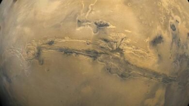 Photo of NASA muestra imágenes del “Gran Cañón” de Marte: es diez veces más grande que el de la Tierra