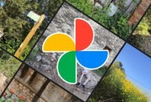 Photo of Google explica cómo funcionan las fotos 3D con profundidad de Google Fotos