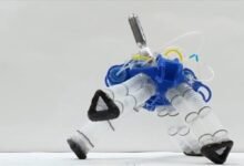 Photo of Un robot blando que anda como una tortuga y no usa electrónica