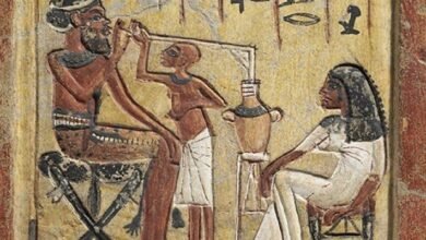 Photo of Descubren que en el antiguo Egipto se producía cerveza a escala industrial con el hallazgo de una planta de hace 5 mil años
