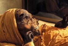 Photo of Lo que dice la tomografía de un faraón decapitado hace 3.500 años