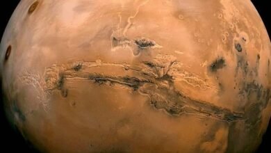 Photo of Espacio: Perseverance casi llega a Marte ¿cómo sabremos que ya llegó?