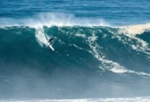 Photo of Punta de Lobos por Siempre: surf para defender al medio ambiente