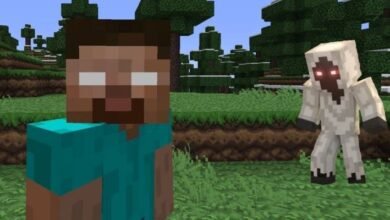 Photo of Minecraft: ¿quién o qué es la Entidad 303 y cuál es su conexión con Herobrine?