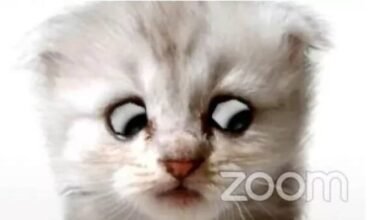 Photo of Zoom: así puedes usar el filtro de gatito que se hizo viral para videoconferencias