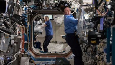 Photo of Estudio encuentra que el corazón de los astronautas se reduce en la ISS y explican como incide en los futuros viajes espaciales