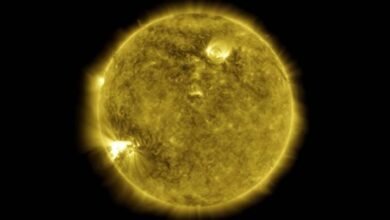 Photo of ¿Por qué varía la composición del Sol? Una teoría de 2004 es confirmada 17 años después