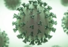 Photo of Estudio encuentra que el ultrasonido tiene un alto potencial para matar el coronavirus