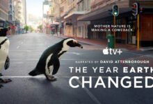 Photo of Esta semana en Apple TV+: más fichajes, más episodios y cómo la fauna invadió las calles durante la pandemia