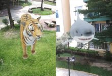 Photo of Tigres, tiburones y otros animales en 3D con realidad aumentada: cómo se hace, qué animales hay y qué necesitas