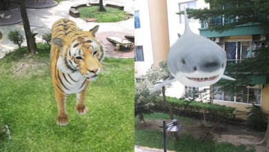 Photo of Tigres, tiburones y otros animales en 3D con realidad aumentada: cómo se hace, qué animales hay y qué necesitas